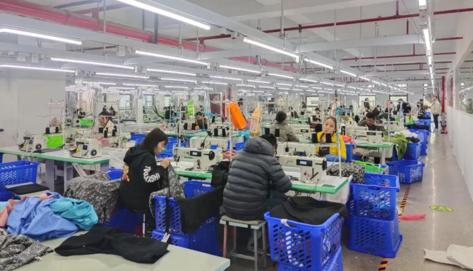 探廠｜在海寧，看到中捷的那一抹綠